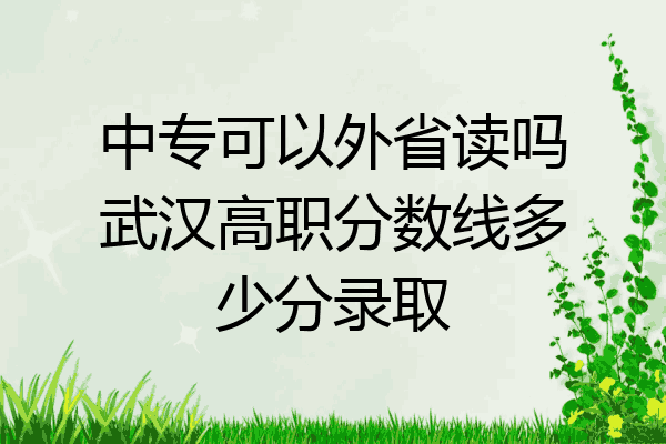 中专可以外省读吗武汉高职分数线多少分录取