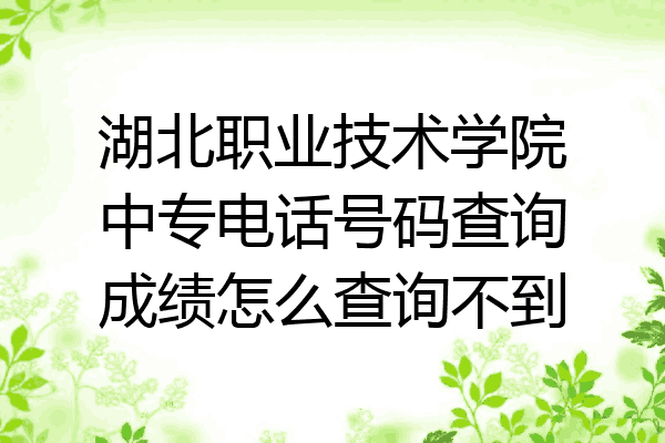 湖北职业技术学院中专电话号码查询成绩怎么查询不到