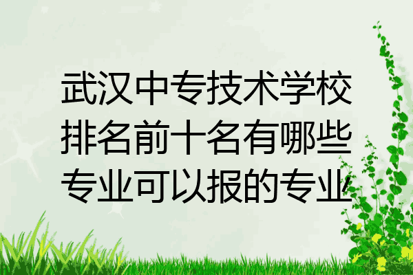 武汉中专技术学校排名前十名有哪些专业可以报的专业