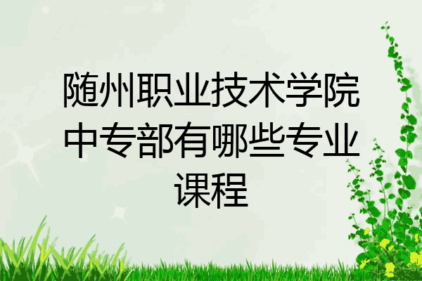 随州职业技术学院中专部有哪些专业课程