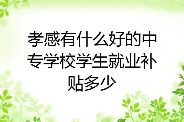 孝感有什么好的中专学校学生就业补贴多少