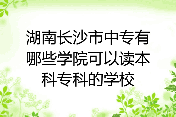 湖南长沙市中专有哪些学院可以读本科专科的学校