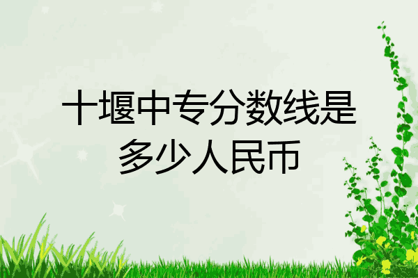 十堰中专分数线是多少人民币