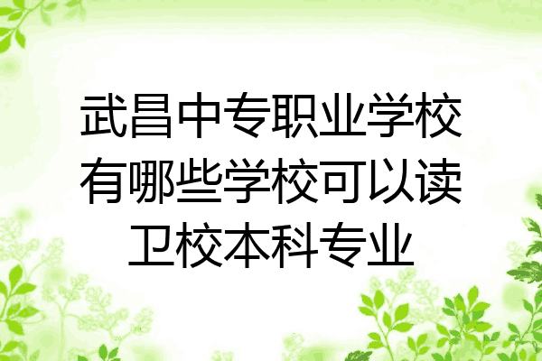 武昌中专职业学校有哪些学校可以读卫校本科专业