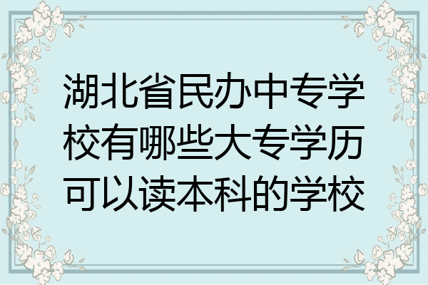 湖北省民办中专学校有哪些大专学历可以读本科的学校