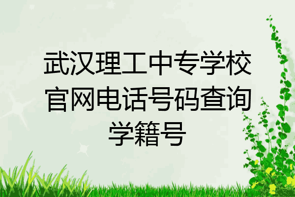 武汉理工中专学校官网电话号码查询学籍号