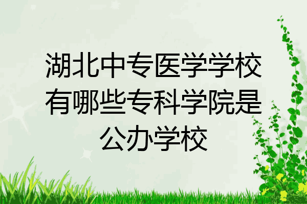 湖北中专医学学校有哪些专科学院是公办学校