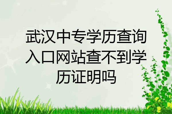 武汉中专学历查询入口网站查不到学历证明吗