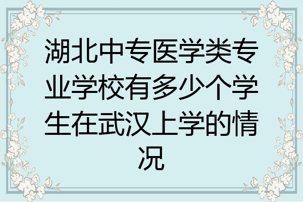 湖北中专医学类专业学校有多少个学生在武汉上学的情况