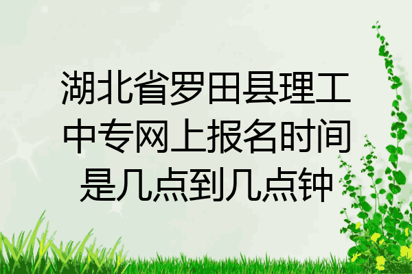 湖北省罗田县理工中专网上报名时间是几点到几点钟
