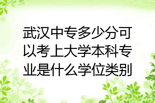 武汉中专多少分可以考上大学本科专业是什么学位类别