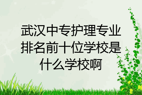 武汉中专护理专业排名前十位学校是什么学校啊