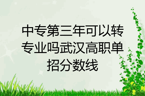 中专第三年可以转专业吗武汉高职单招分数线