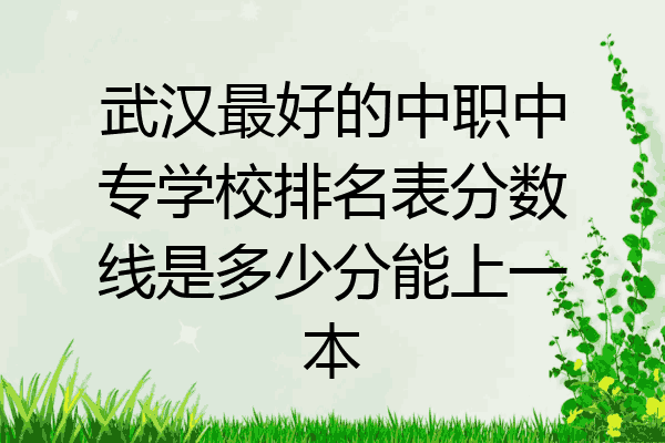 武汉最好的中职中专学校排名表分数线是多少分能上一本
