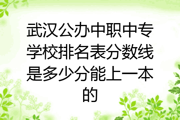 武汉公办中职中专学校排名表分数线是多少分能上一本的