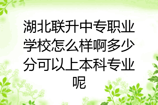 湖北联升中专职业学校怎么样啊多少分可以上本科专业呢