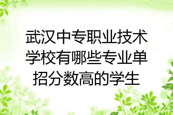 武汉中专职业技术学校有哪些专业单招分数高的学生