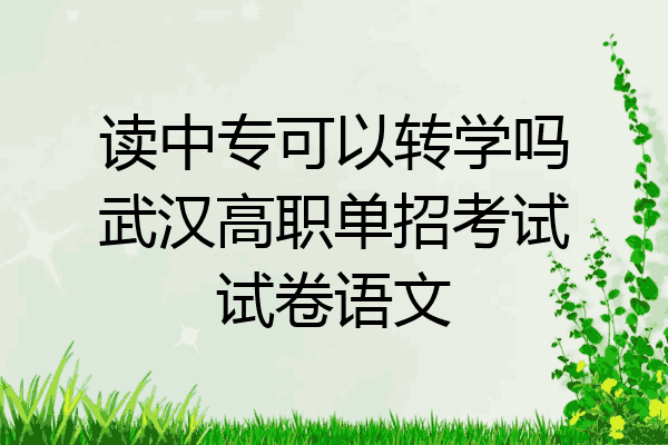读中专可以转学吗武汉高职单招考试试卷语文