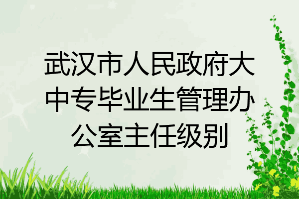 武汉市人民政府大中专毕业生管理办公室主任级别