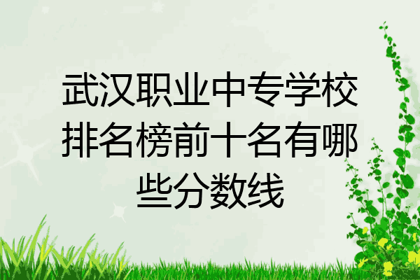 武汉职业中专学校排名榜前十名有哪些分数线