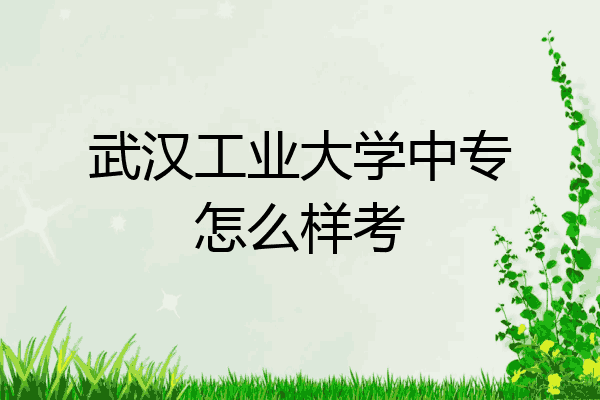 武汉工业大学中专怎么样考