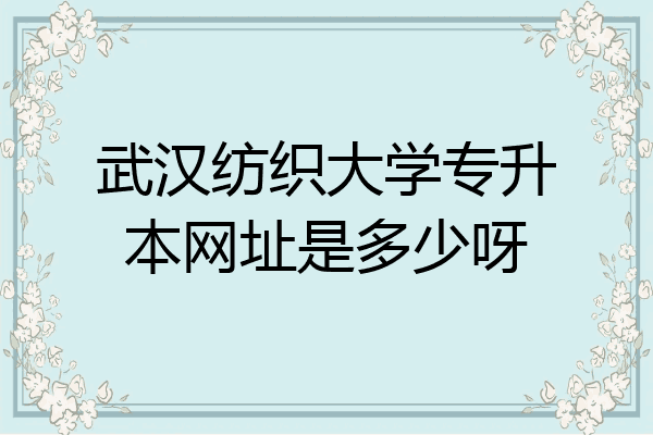 武汉纺织大学专升本网址是多少呀