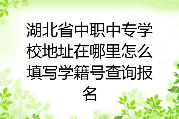 湖北省中职中专学校地址在哪里怎么填写学籍号查询报名