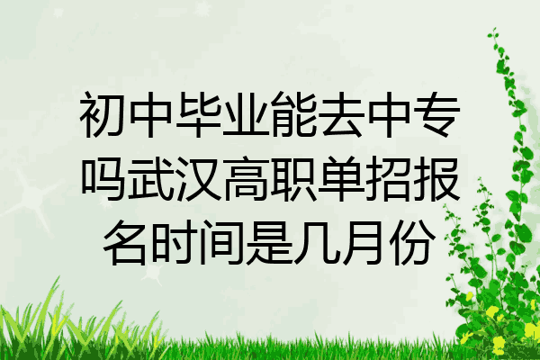 初中毕业能去中专吗武汉高职单招报名时间是几月份