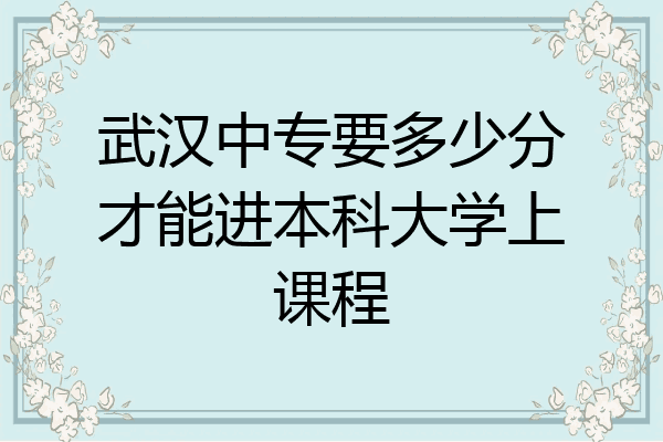 武汉中专要多少分才能进本科大学上课程