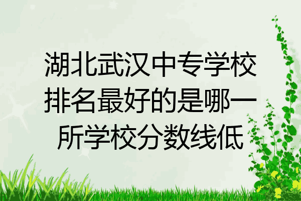 湖北武汉中专学校排名最好的是哪一所学校分数线低