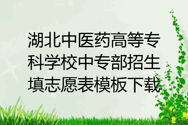 湖北中医药高等专科学校中专部招生填志愿表模板下载