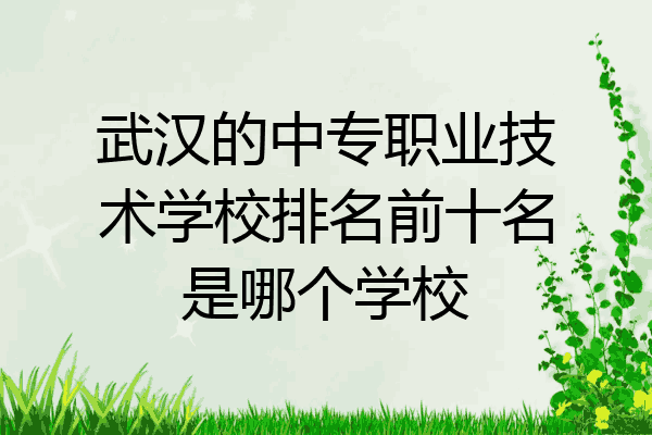 武汉的中专职业技术学校排名前十名是哪个学校