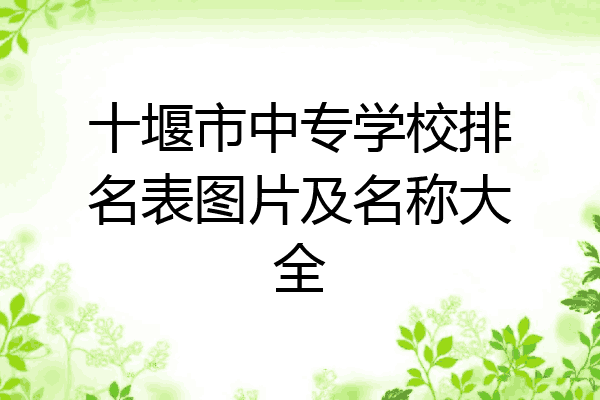 十堰市中专学校排名表图片及名称大全