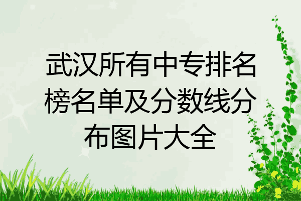 武汉所有中专排名榜名单及分数线分布图片大全