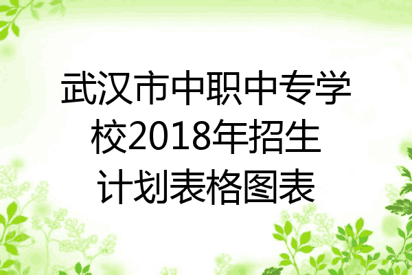 武汉市中职中专学校2018年招生计划表格图表