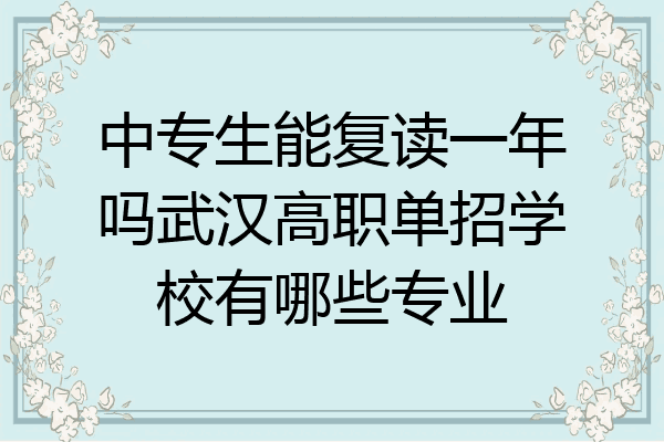中专生能复读一年吗武汉高职单招学校有哪些专业