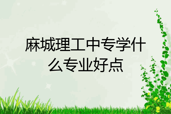 麻城理工中专学什么专业好点