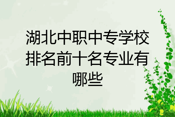 湖北中职中专学校排名前十名专业有哪些