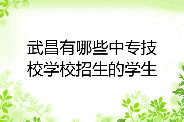 武昌有哪些中专技校学校招生的学生