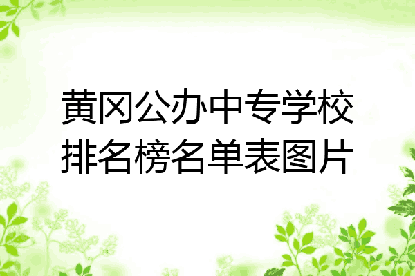 黄冈公办中专学校排名榜名单表图片