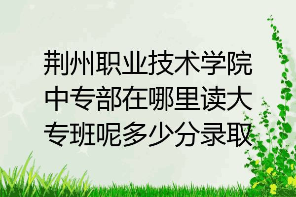 荆州职业技术学院中专部在哪里读大专班呢多少分录取