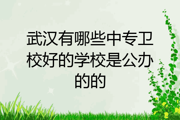武汉有哪些中专卫校好的学校是公办的的