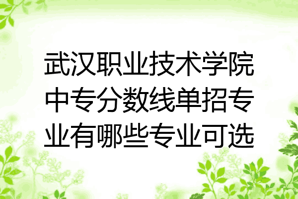 武汉职业技术学院中专分数线单招专业有哪些专业可选