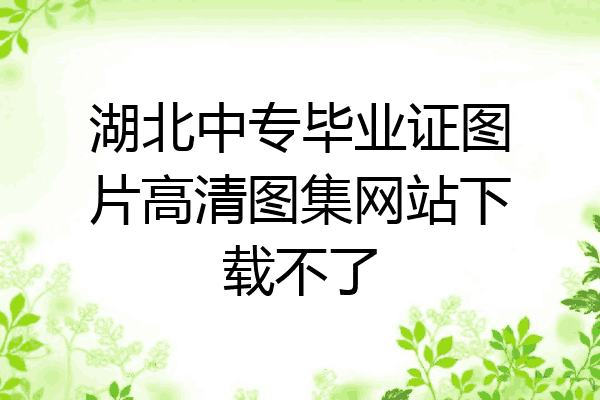 湖北中专毕业证图片高清图集网站下载不了