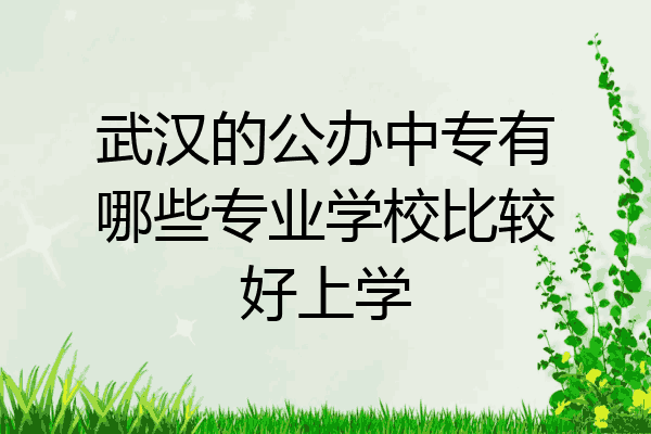 武汉的公办中专有哪些专业学校比较好上学