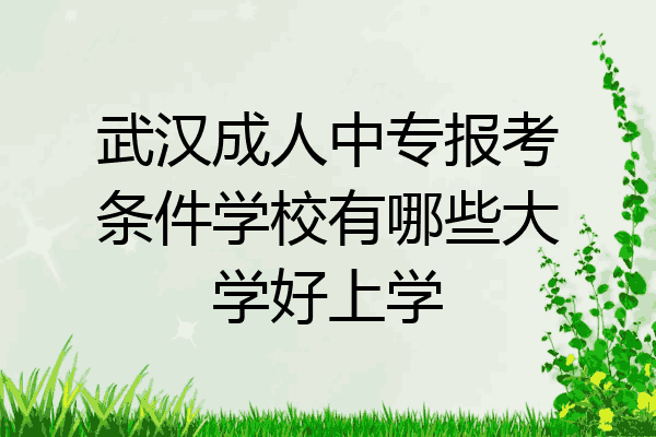 武汉成人中专报考条件学校有哪些大学好上学