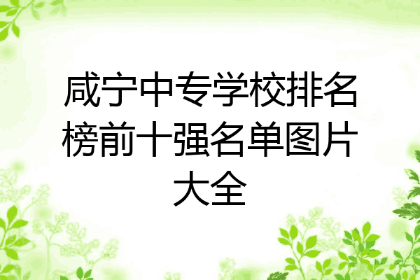 咸宁中专学校排名榜前十强名单图片大全