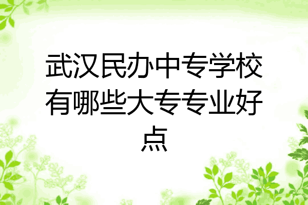 武汉民办中专学校有哪些大专专业好点