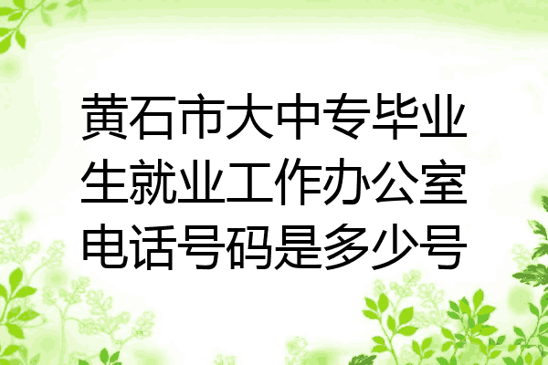 黄石市大中专毕业生就业工作办公室电话号码是多少号