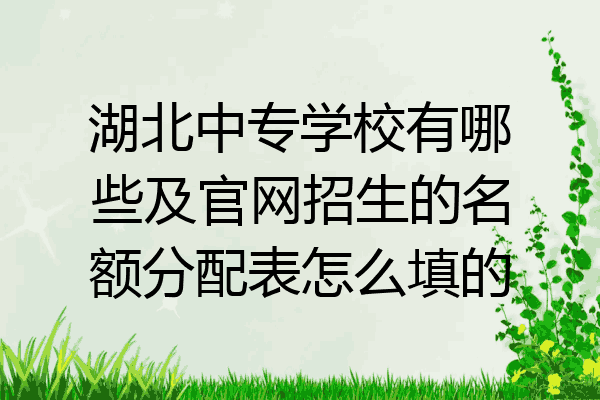 湖北中专学校有哪些及官网招生的名额分配表怎么填的